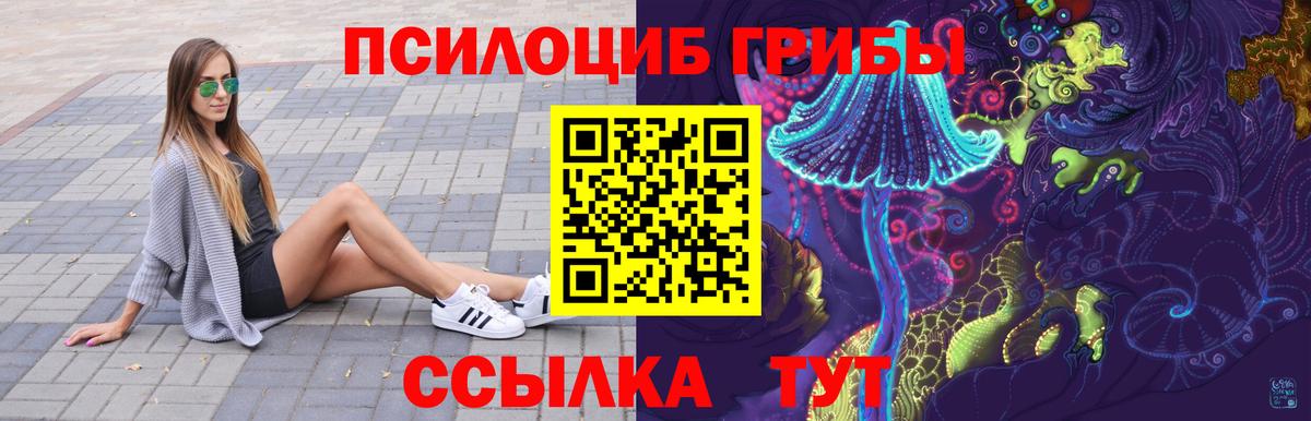 Галлюциногенные грибы MAGIC MUSHROOMS  Псилоцибиновые грибы Psilocybine cubensis  как найти наркотики  Петропавловск-Камчатский  Вход с VPN 